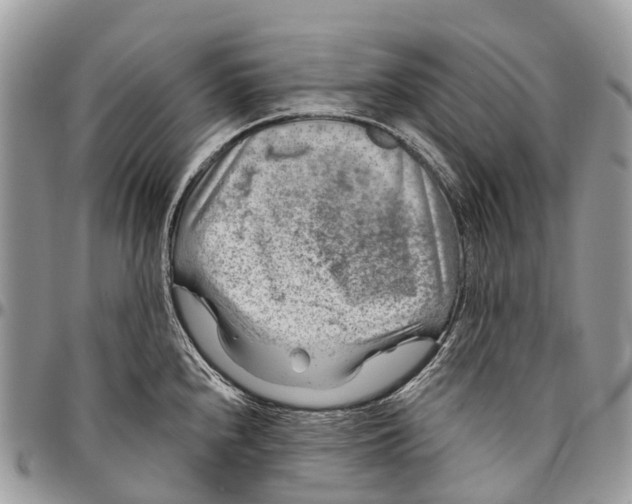 X0000096471240200802141650