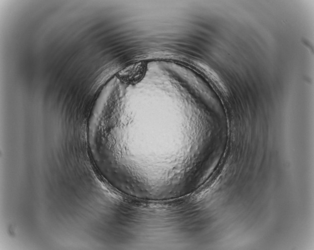 X0000096471241200802141650