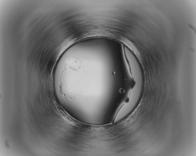 X0000096471242200802141650