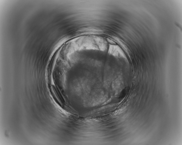 X0000096471243200802141650