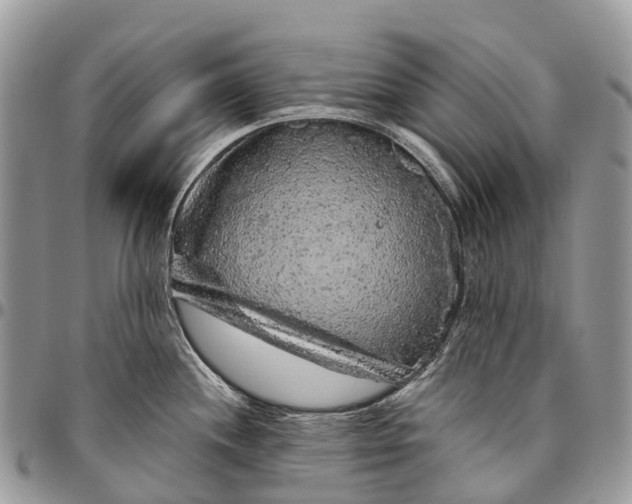 X0000096471244200802141650