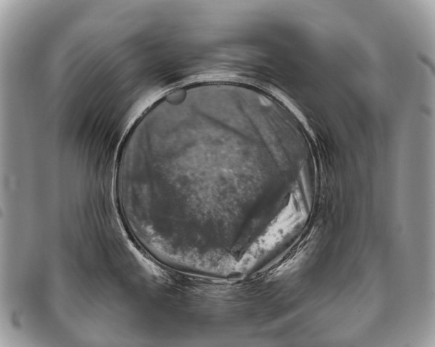 X0000096471245200802141650