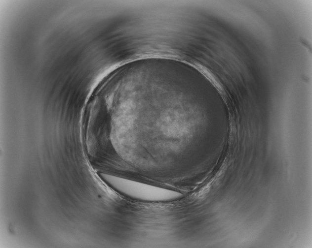 X0000096471246200802141650