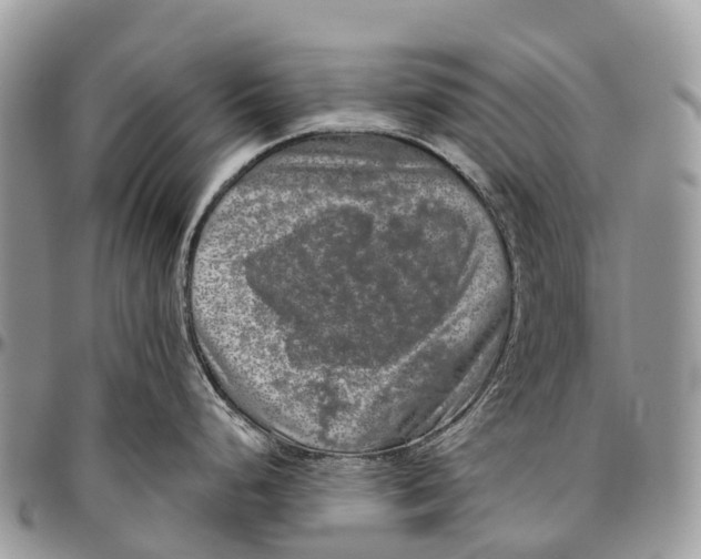 X0000096471248200802141650