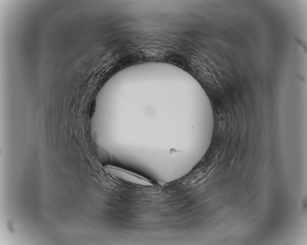 X0000096471249200802141650