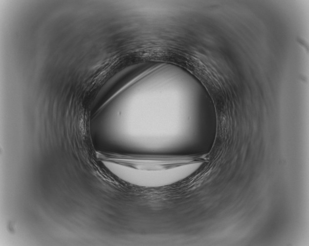 X0000096471250200802141650