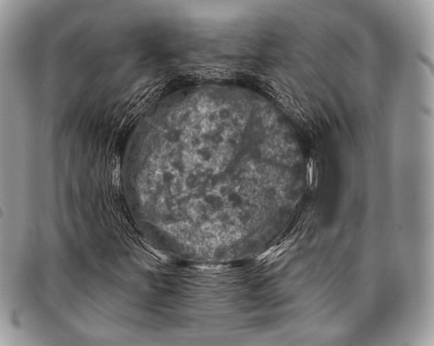 X0000096471251200802141649