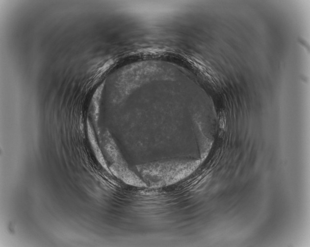 X0000096471252200802141649