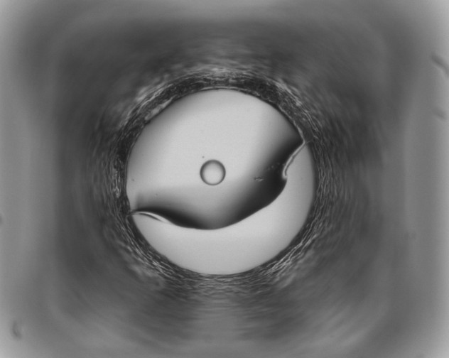 X0000096471253200802141649