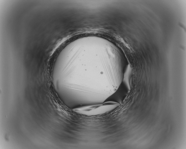 X0000096471256200802141649