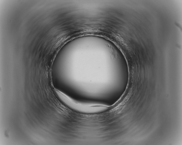 X0000096471257200802141649