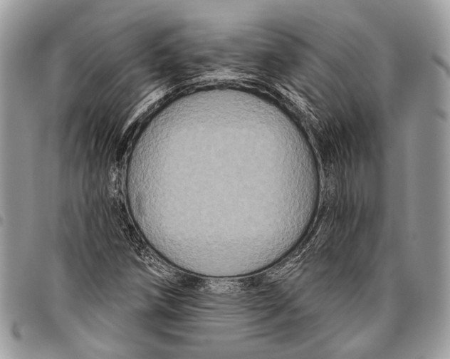 X0000096471258200802141649