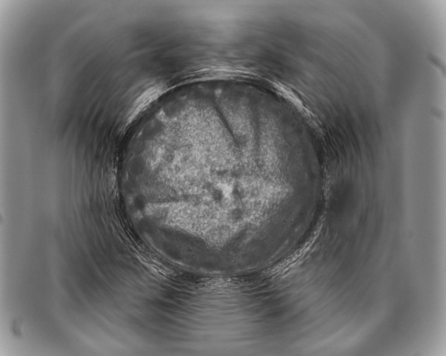 X0000096471259200802141649