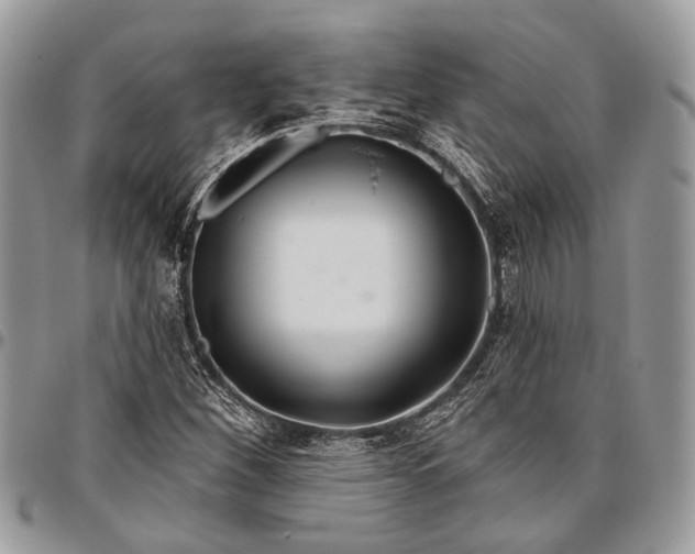 X0000096471260200802141649