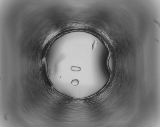 X0000096471261200802141649