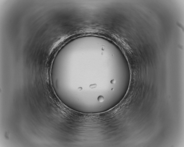 X0000096471262200802141649