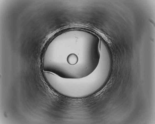 X0000096471264200802141649