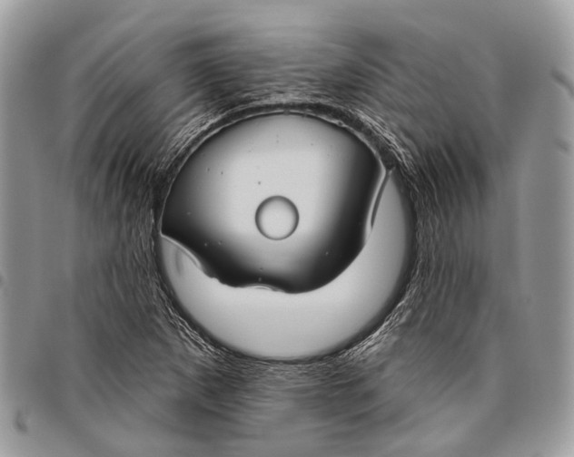 X0000096471265200802141649