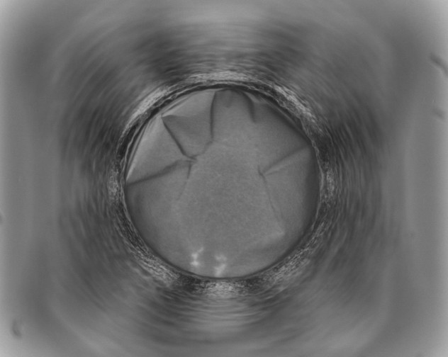 X0000096471266200802141649