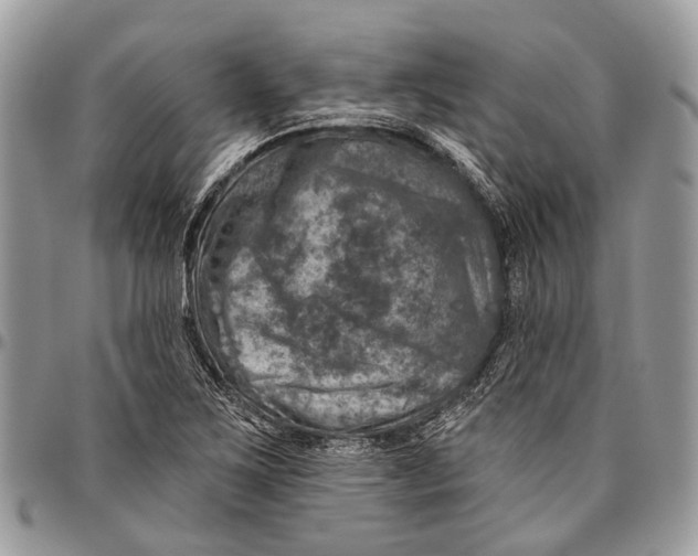 X0000096471267200802141649