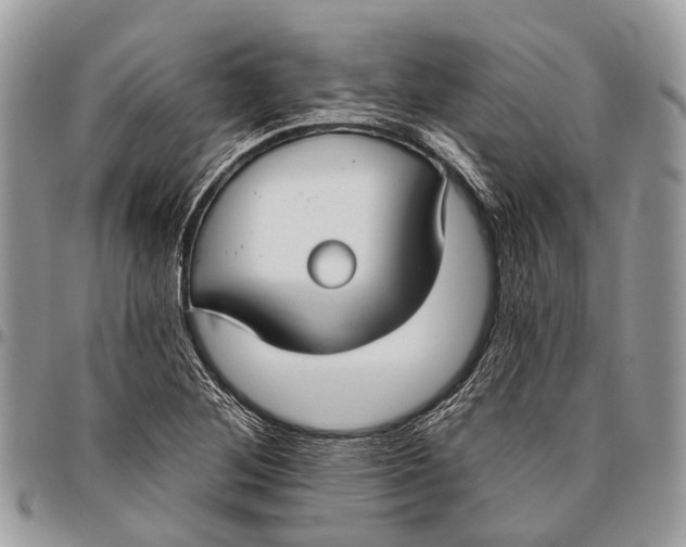 X0000096471268200802141649