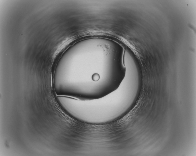 X0000096471269200802141649