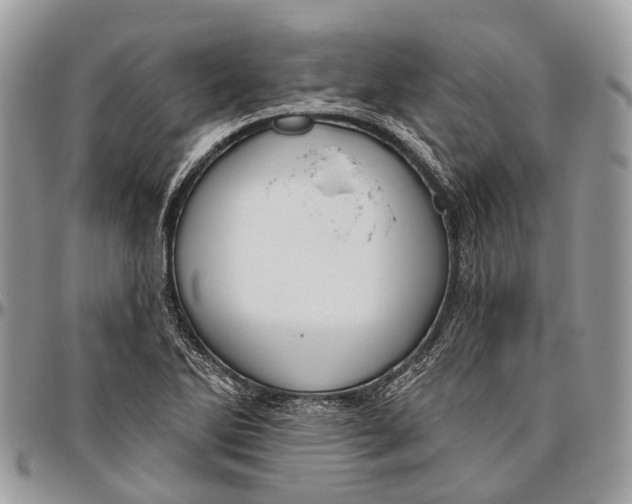 X0000096471270200802141649