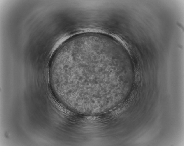 X0000096471271200802141649