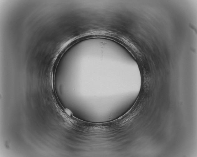 X0000096471272200802141649