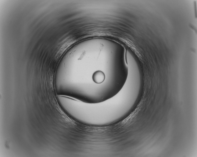 X0000096471273200802141649