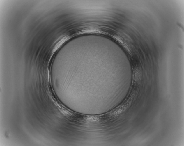 X0000096471274200802141649