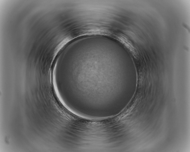 X0000096471275200802141649