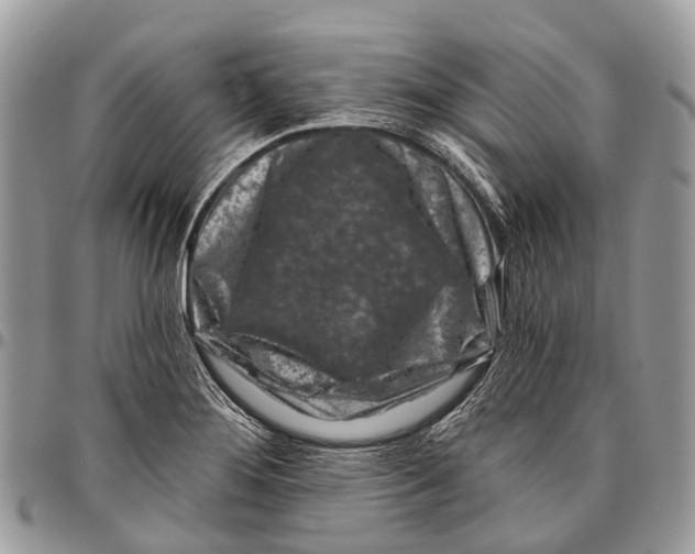 X0000096471276200802141649