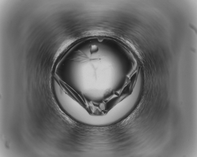 X0000096471277200802141649