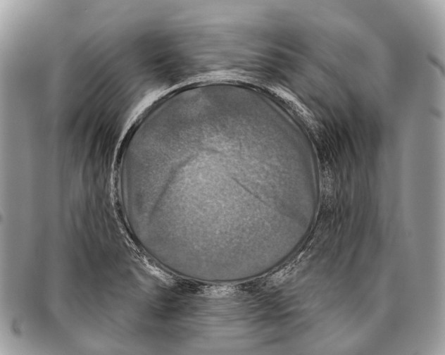 X0000096471278200802141649