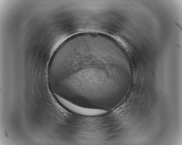 X0000096471279200802141649