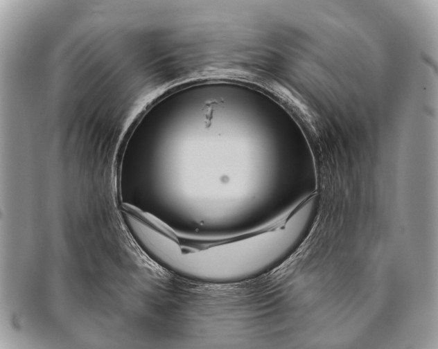 X0000096471280200802141649