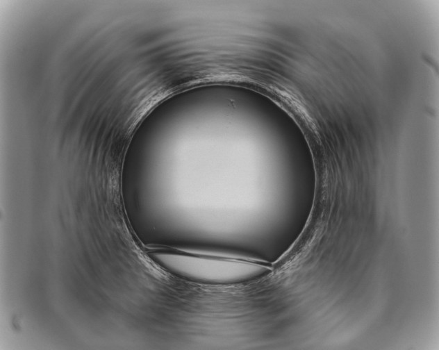 X0000096471281200802141649