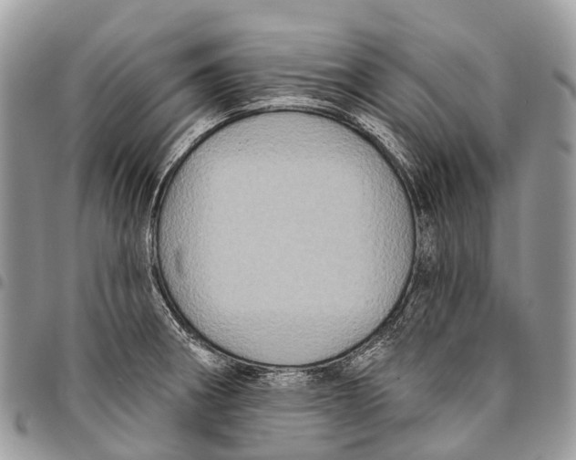 X0000096471282200802141649