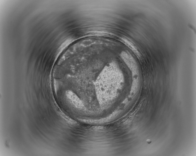 X0000096471283200802141649