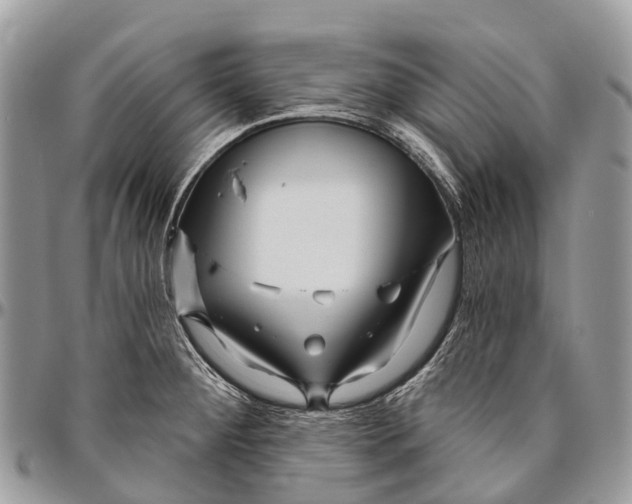 X0000096471284200802141649