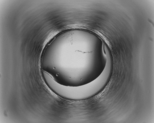 X0000096471285200802141649