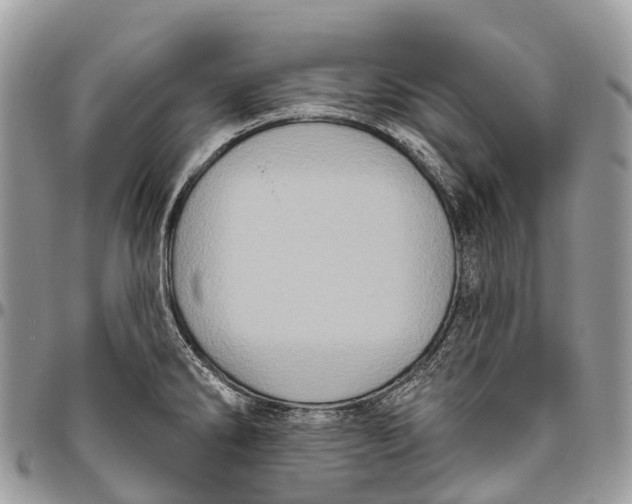 X0000096471286200802141649