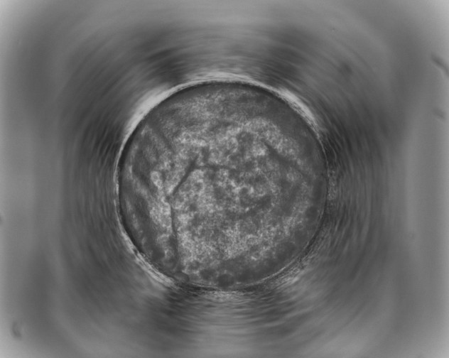 X0000096471287200802141649