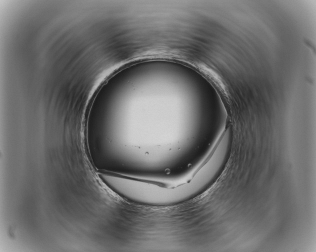 X0000096471288200802141649