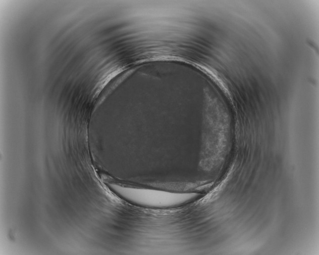 X0000096471289200802141649