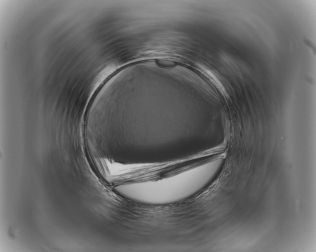 X0000096471291200802141649