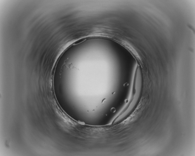 X0000096471292200802141649