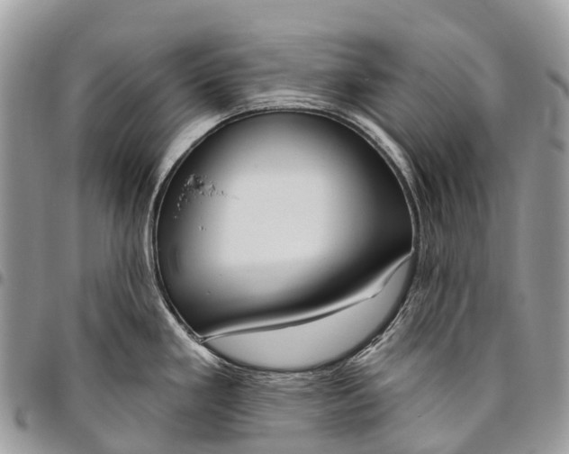 X0000096471293200802141649