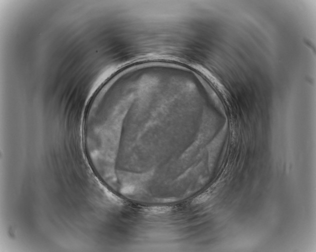 X0000096471294200802141649